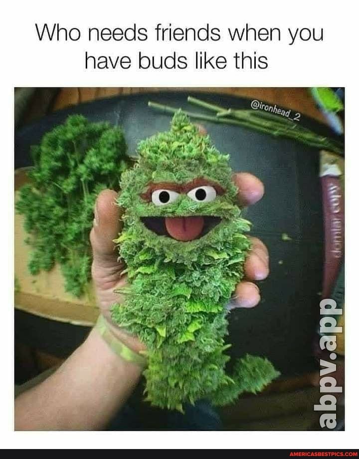 Who needs friends when you have buds like this
abpv.app