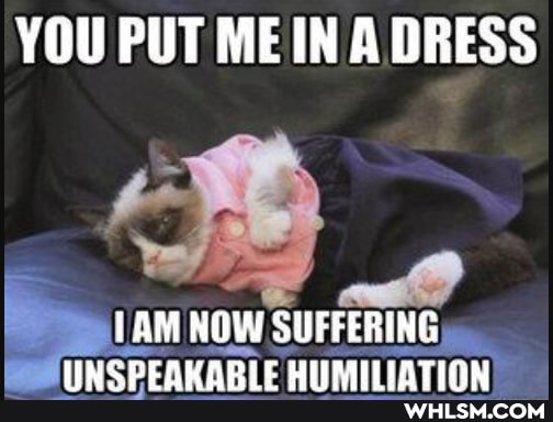 YOU PUT MEIN ADRESS
LAM NOW SUFFERING
MMCDEAMADI CULMILIATION