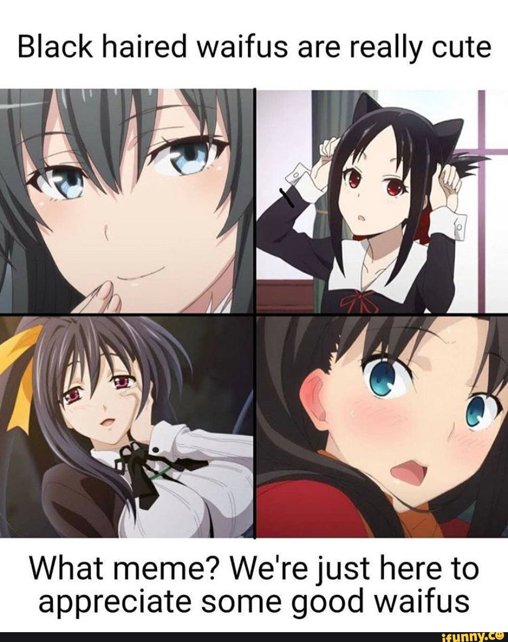 Black haired waifus are really cute What meme? We're just here to ...