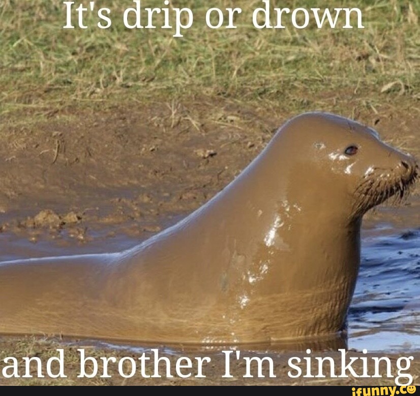 It's drip or drown and brother I'm sinking - iFunny