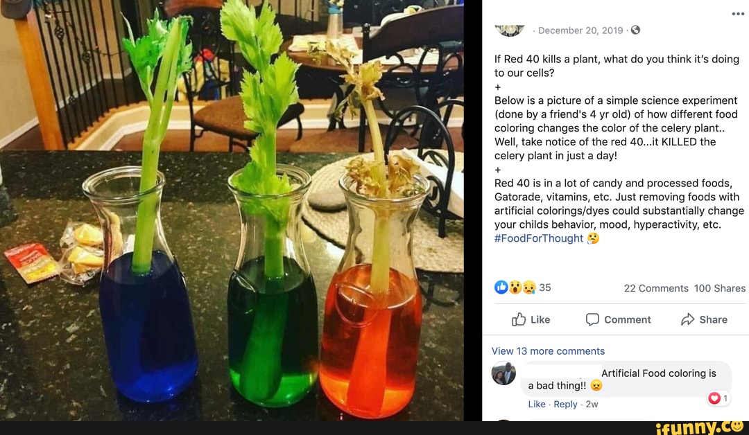 O If Red 40 kills a plant, what do you think it's doing to our cells