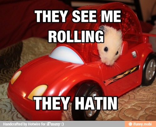 THEY SEE ME
none