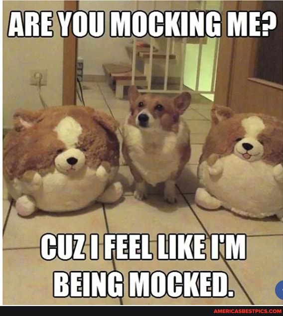 ARE YOU MOCKING ME>
OD
CUZ FEEL LIKET'M REING MOCKED.