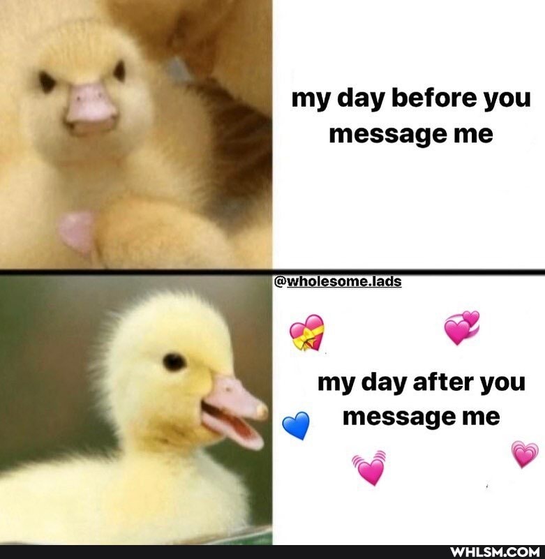 my day before you message me
my day after you
@ message me
we