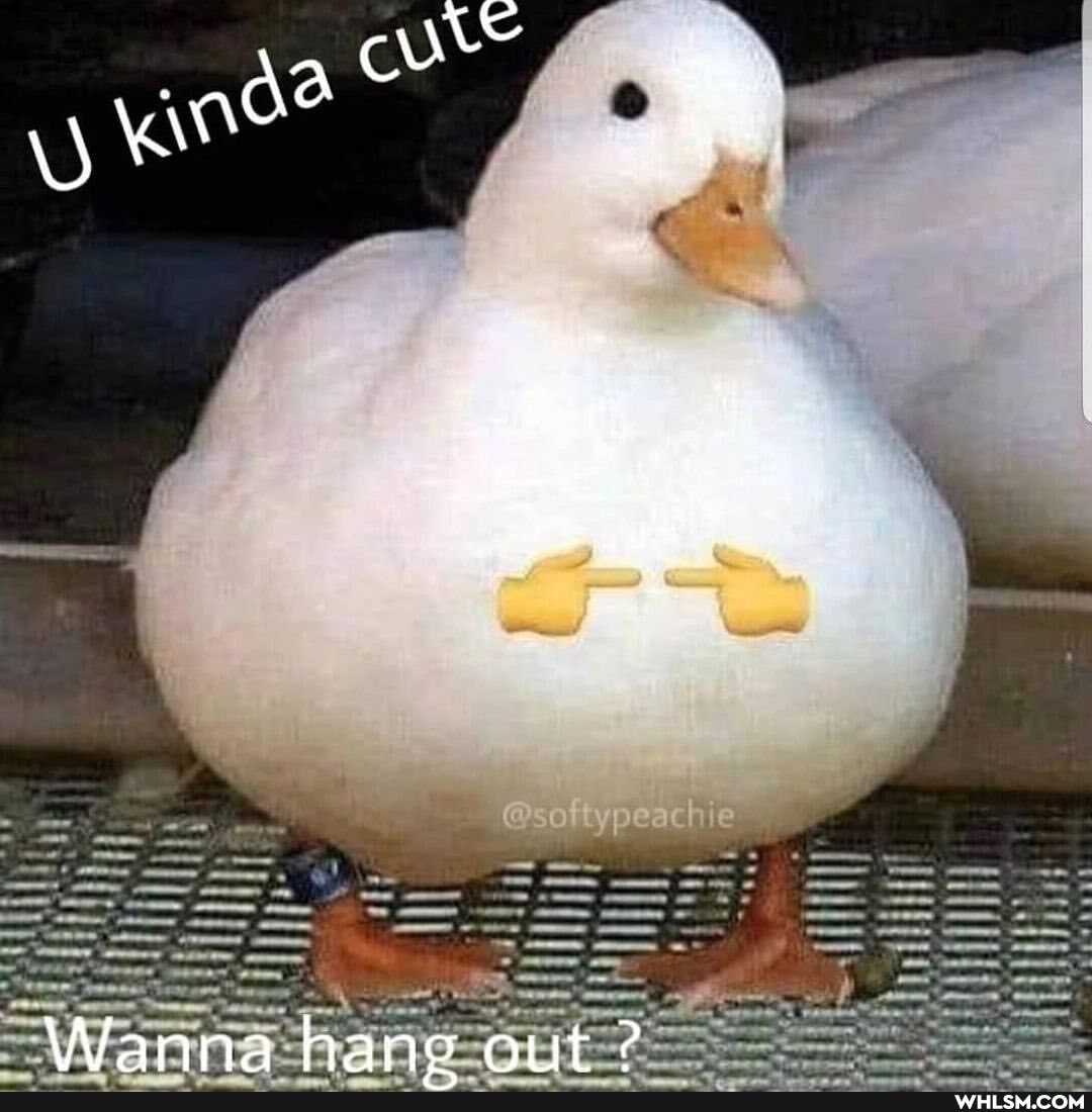Wanna hano out 2