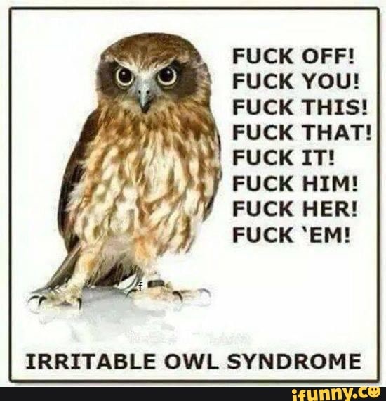 FUCK OFF! FUCK YOU! FUCK THIS! FUCK THAT! FUCK IT! FUCK HIM! FUCK HER ...