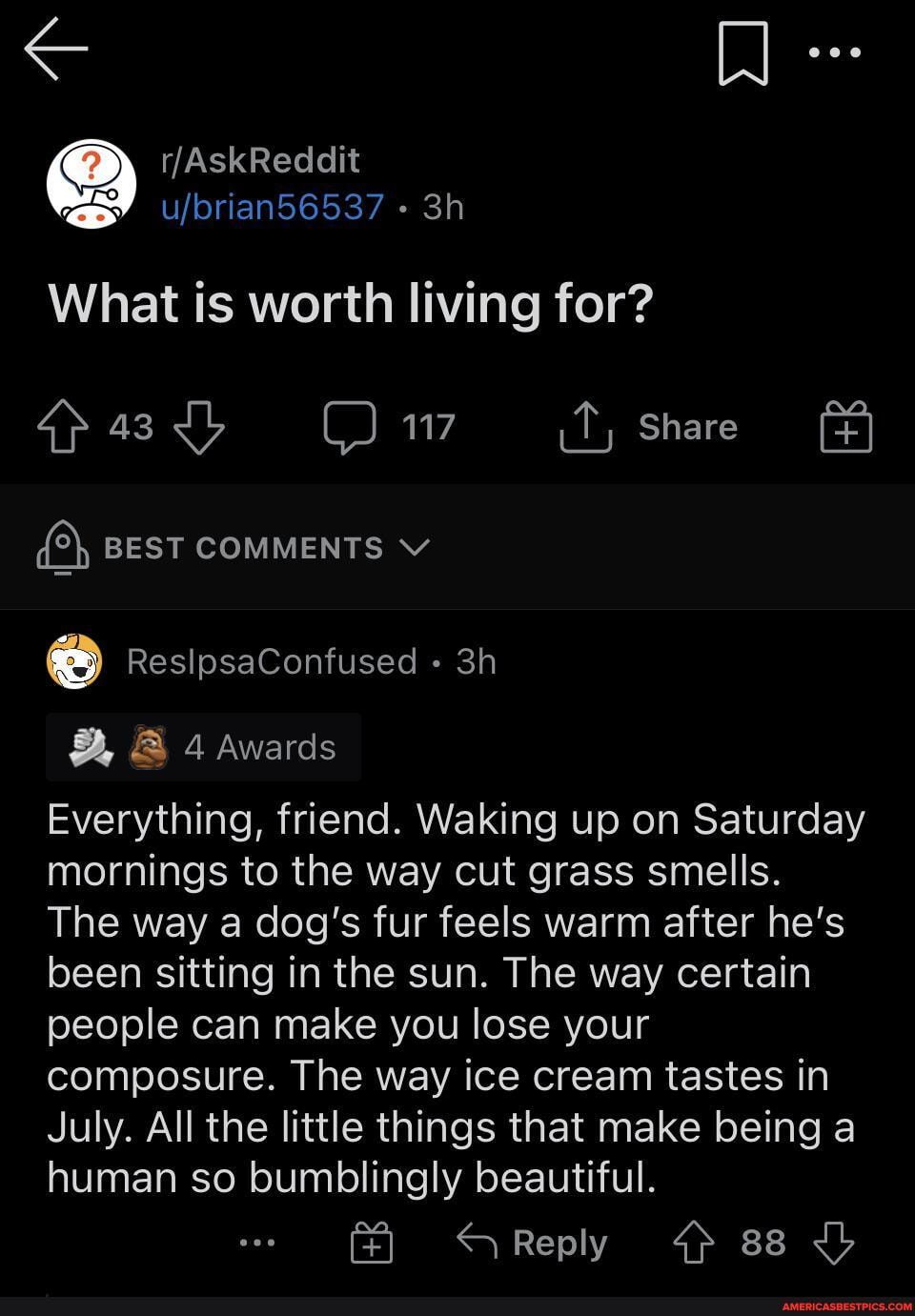 What is worth living for?
Share
BEST COMMENTS V
ReslosaConfused 3
& 4 Awards
Everything, friend. Waking up on Saturday mornings to the way cut grass smells.
The way a dog's fur feels warm after he's been sitting in the sun. The way certain people can make you lose your composure. The way ice cream tastes in
July. All the little things that make being a human so bumblingly beautiful.
"Reply