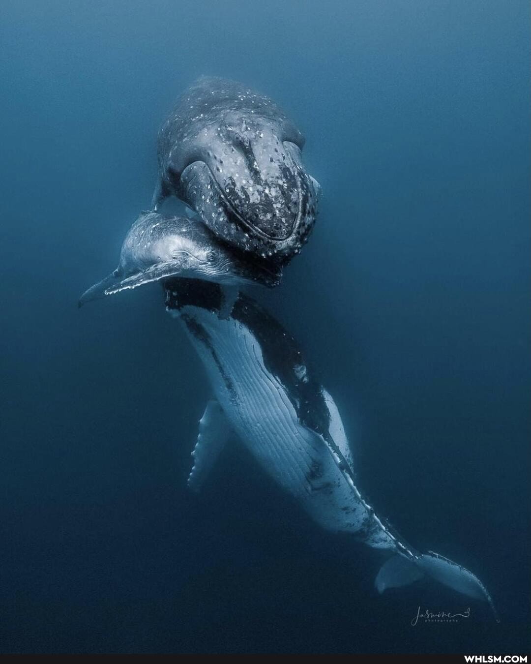 cool, damn_nature_you_scary, nature