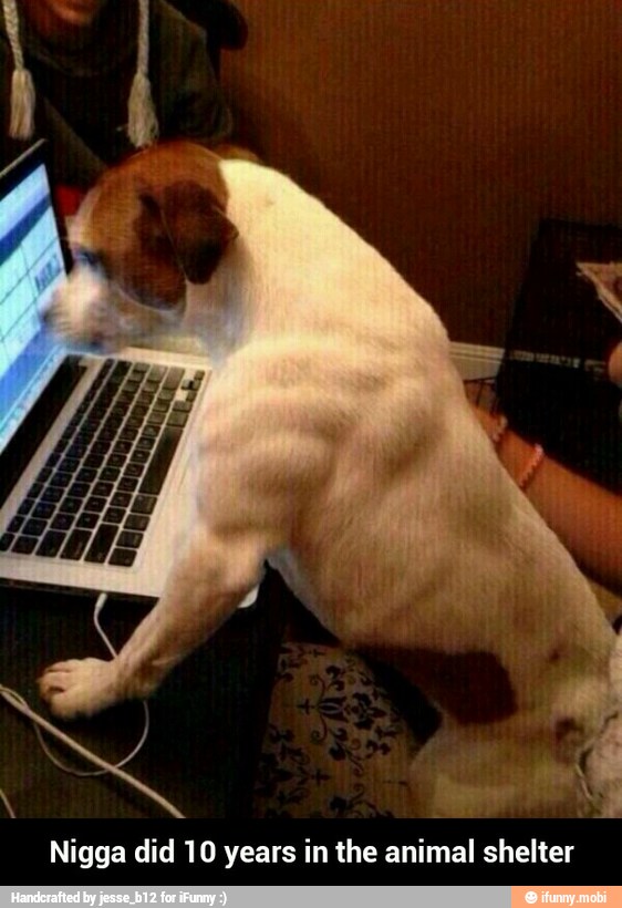 Meno ARE
Nigga did 10 years in the animal shelter - Nigga did 10 years in the animal shelter