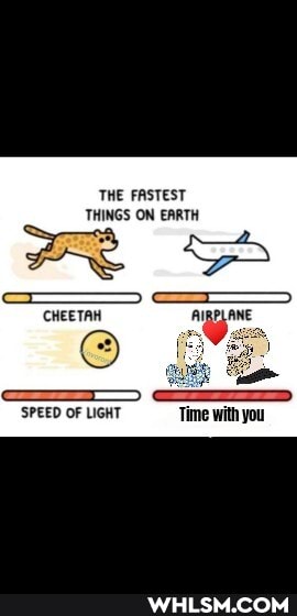 THE FASTEST THINGS ON EARTH
CHEETAH
SPEED OF LIGHT Time with you