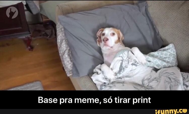 Base pra meme, só tirar print - Base pra meme, só tirar print