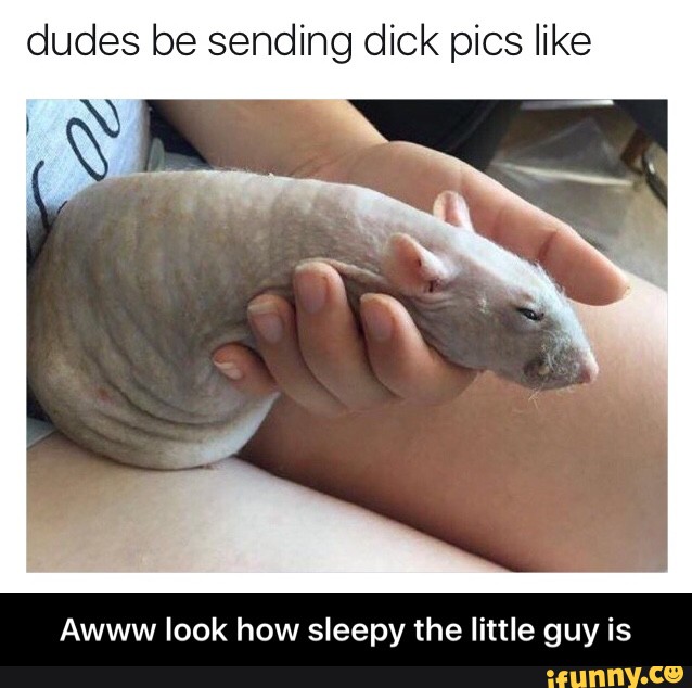 dudes be sending dick pics like Awww look how sleepy the little guy is - Aw...