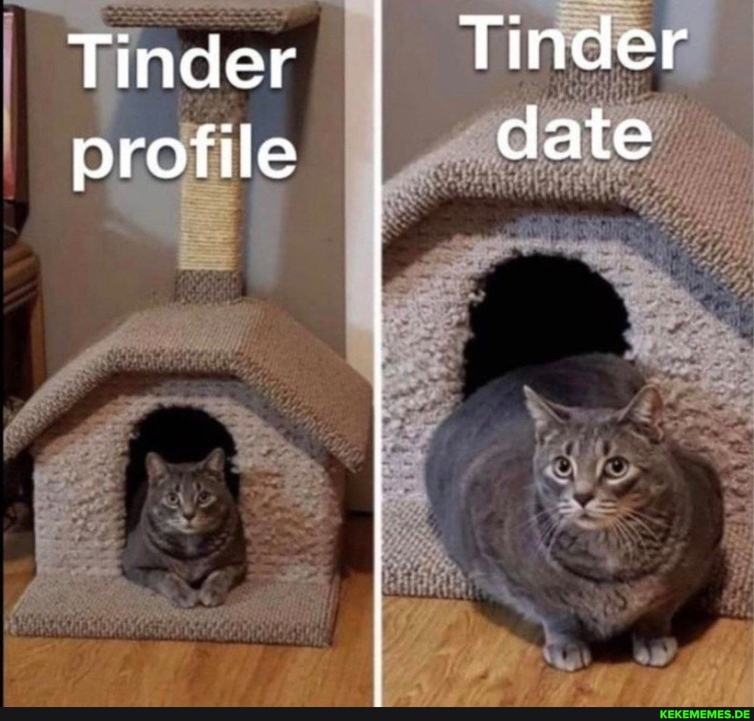 Tinder Tinder profile date