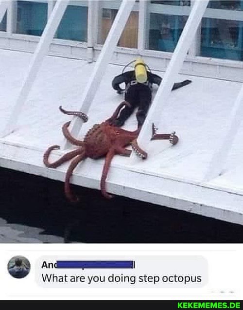 What are you doing step octopus