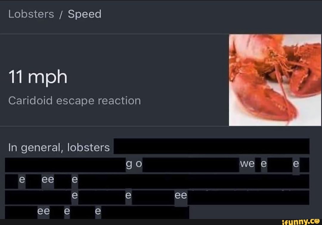 Lobsters / Speed Ti mph Caridoid escape reaction In general, lobsters