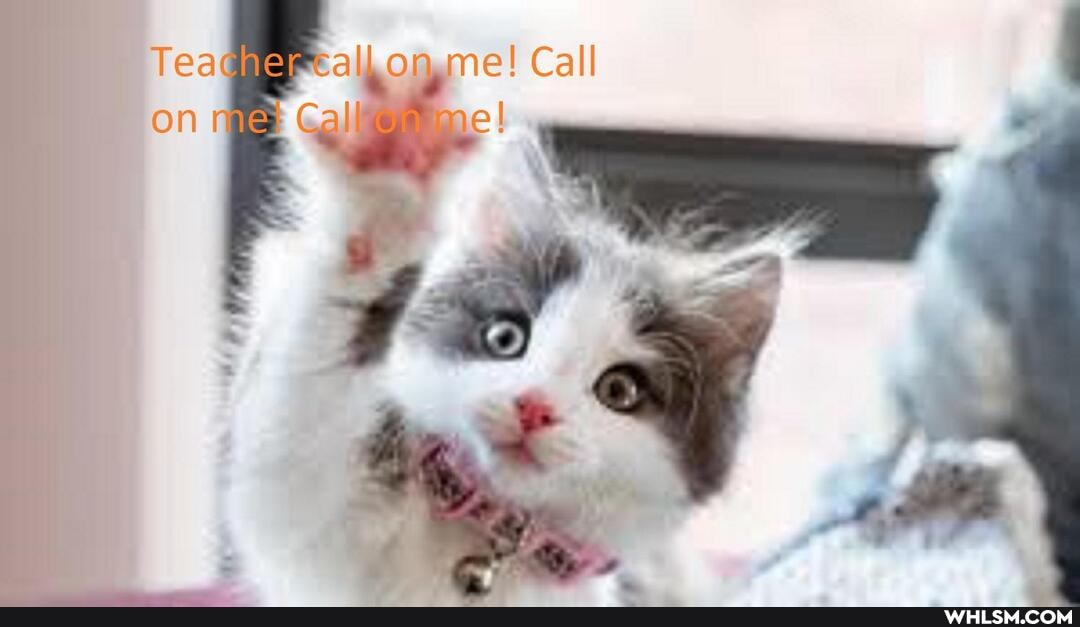 Teacher <al" on me! Call on rie Cal"