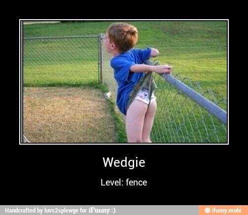 Wedgie
Level: fence
