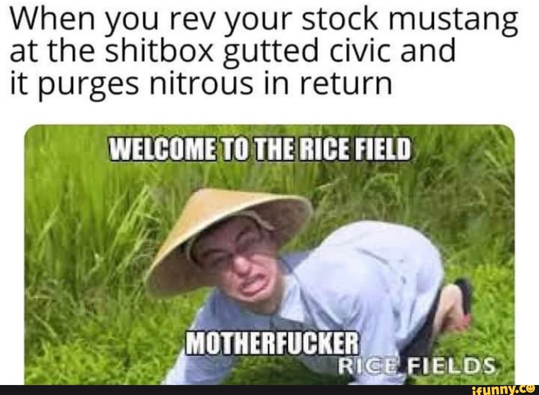 When You Rev Your Shitbox Meme