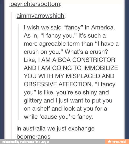 joeyrichtersbottom:
aimmyarrowshigh:
I wish we said "fancy" in America.
more agreeable term than "I have a
crush on you." What's a crush?
Like, IAM A BOA CONSTRICTOR
AND I AM GOING TO IMMOBILIZE
YOU WITH MY MISPLACED AND
OBSESSIVE AFFECTION. "I fancy
you" is like, you're so shiny and
glittery and I just want to put you
on a shelf and look at you for a
while 'cause you're fancy.
in australia we just exchange
boomeranas