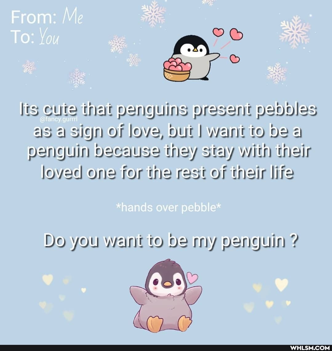 From: Me
To: You
Its cute that penguins present pebbles as a sign of love, but I want to be a penguin because they stay with their loved one for the rest of their life
*hands over pebble*
Do you want to be my penguin ?
. ASA