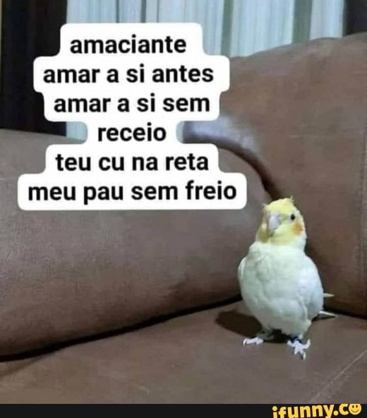 amaciante amar a si antes amar a si sem receio teu cu na reta meu pau sem freio