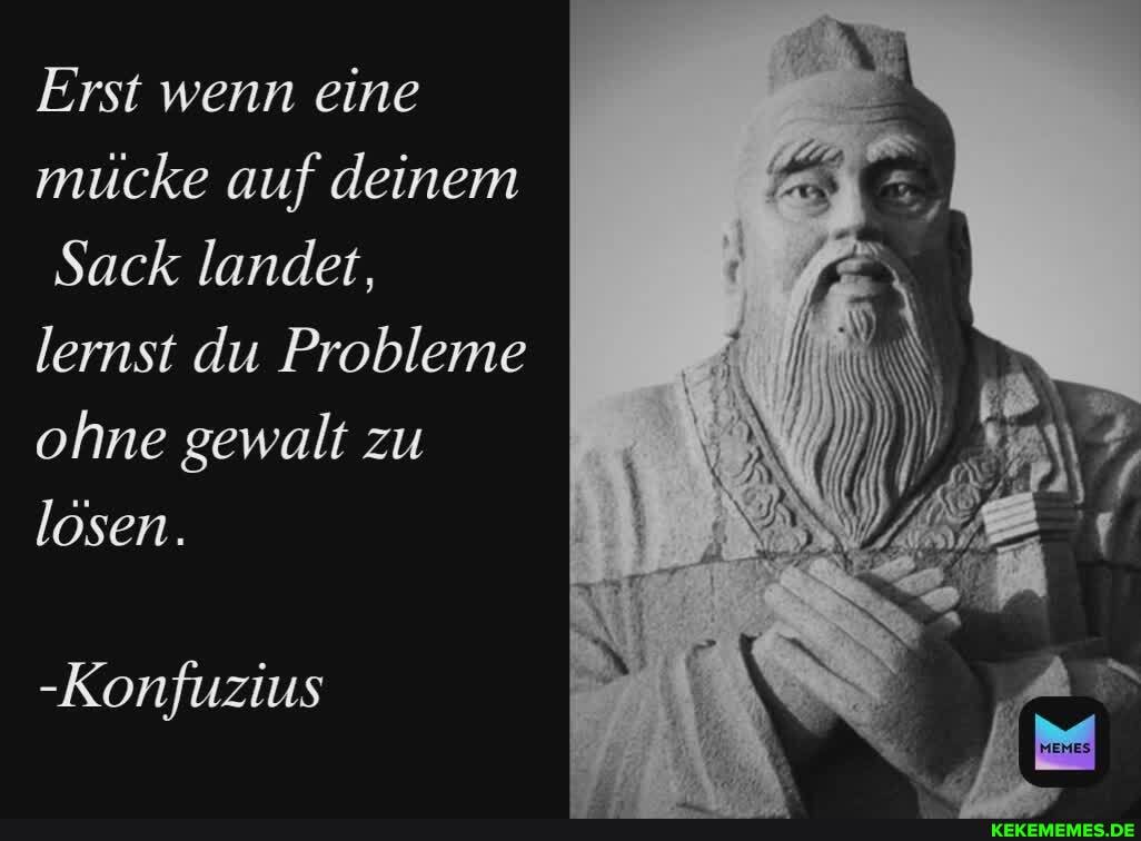 Erst wenn eine mucke auf deinem
Sack landet, lernst du Probleme ohne gewalt zu losen.
-Konfuzius