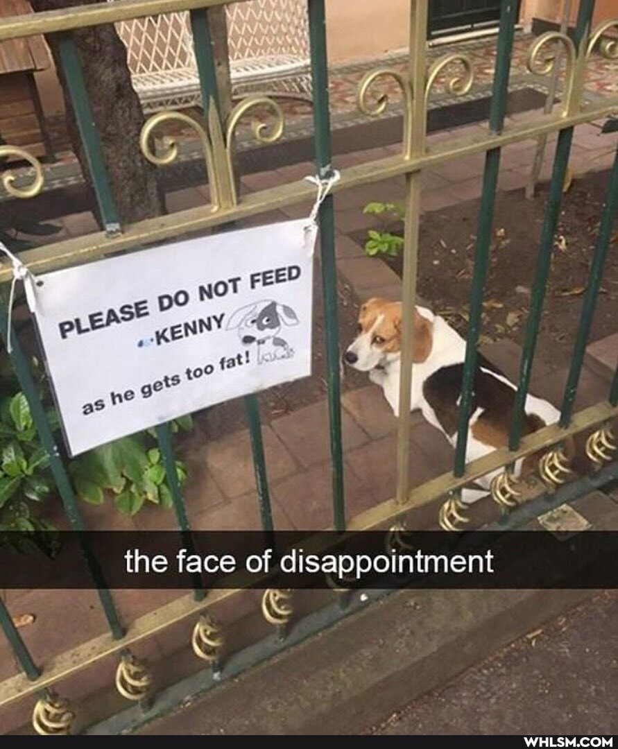 the face of disappointment
we
SP