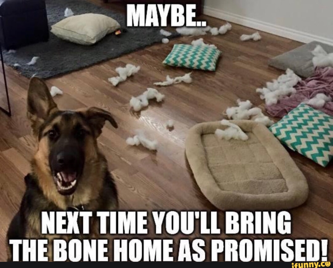 Bone home