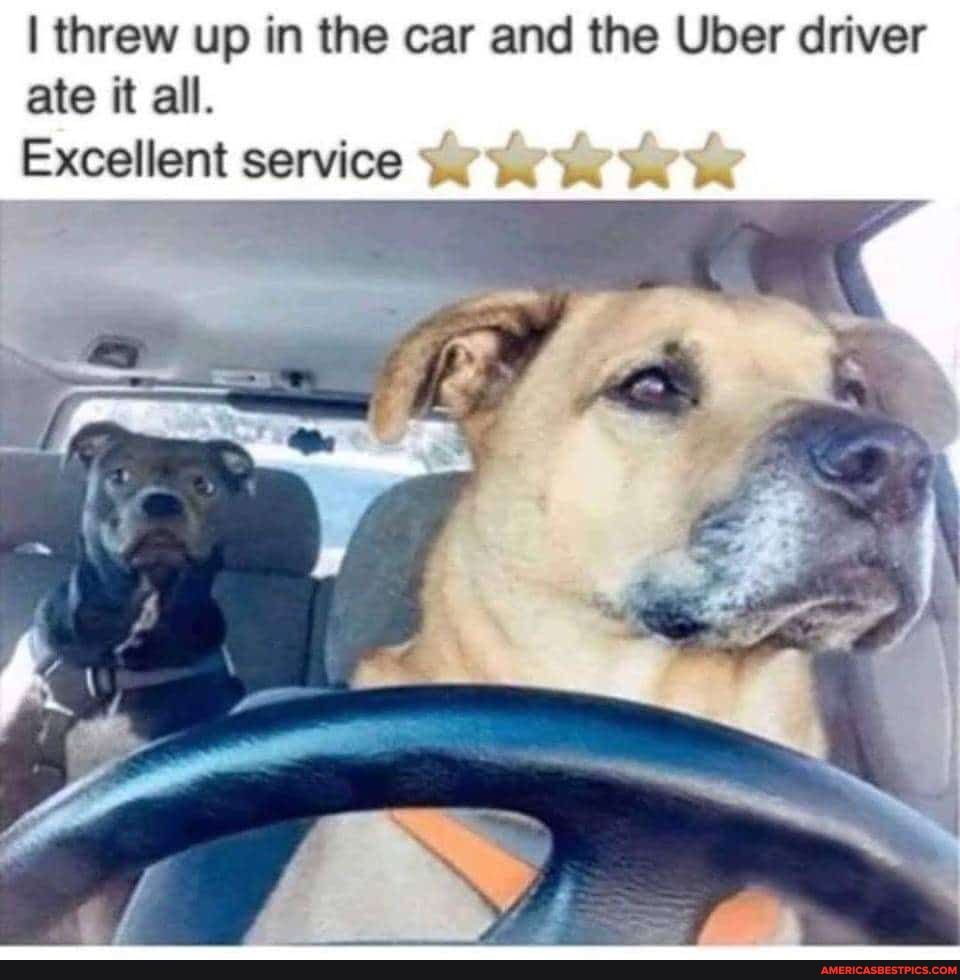 I threw up in the car and the Uber driver ate it all.
Excellent service