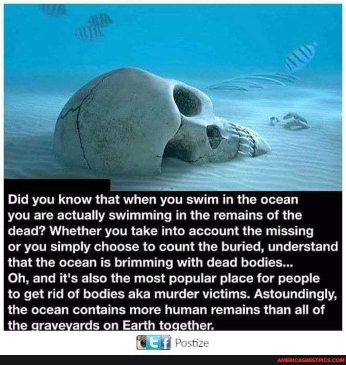 Did you know that when you swim in the ocean
you are actually swimming in the remains of the dead? Whether you take into account the missing
or you simply choose to count the buried, understand that the ocean is brimming with dead bodies...
Oh, and it's also the most popular place for people
to get rid of bodies aka murder victims. Astoundingly, the ocean contains more human remains than all of the graveyards on Earth together.
Postize