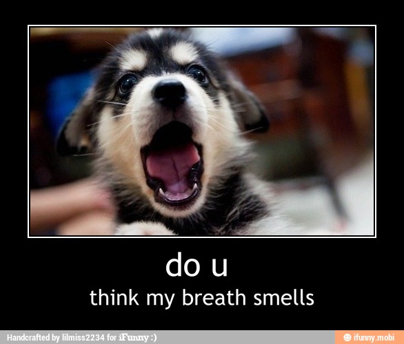 do u
think my breath smells - do u
think my breath smells