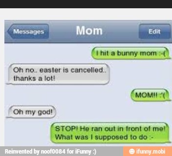 J hit a bunny mom =
no. easter is cancelled
thanks
a
lot!
MOMO
'STOP! He ran out in front ot
mel)
What was I supposed to do