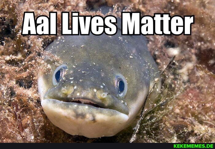 Aal Lives Matter