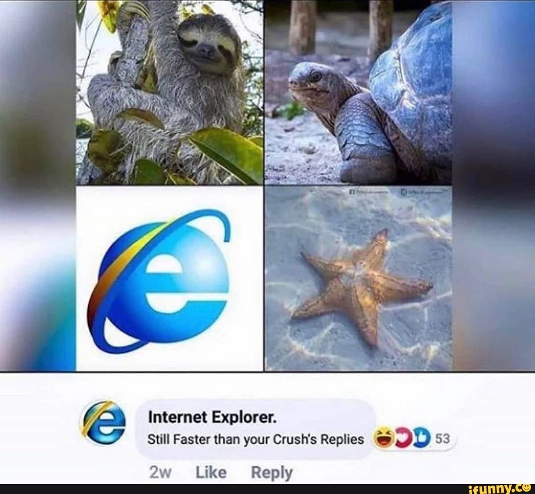 Internet Explorer.
Still Faster than your Crush's Replies eJD 53