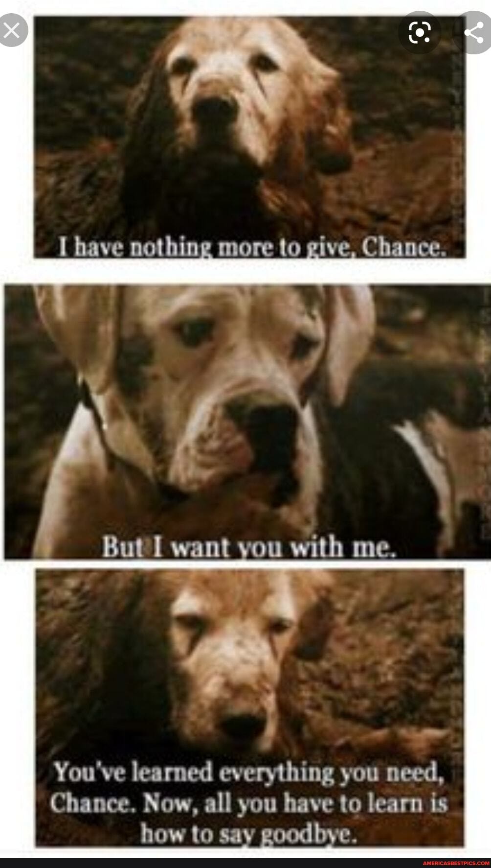 have nothing
mons
with me.
You've learned everything you need,
Chance. Now, all you have to learn is how to say goodbye.