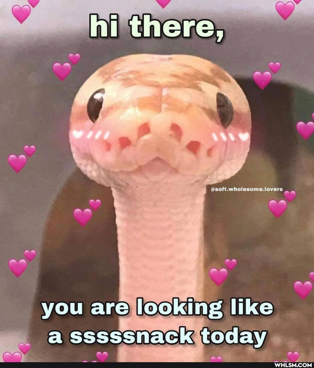 you leoking Uilkke
esssenack today