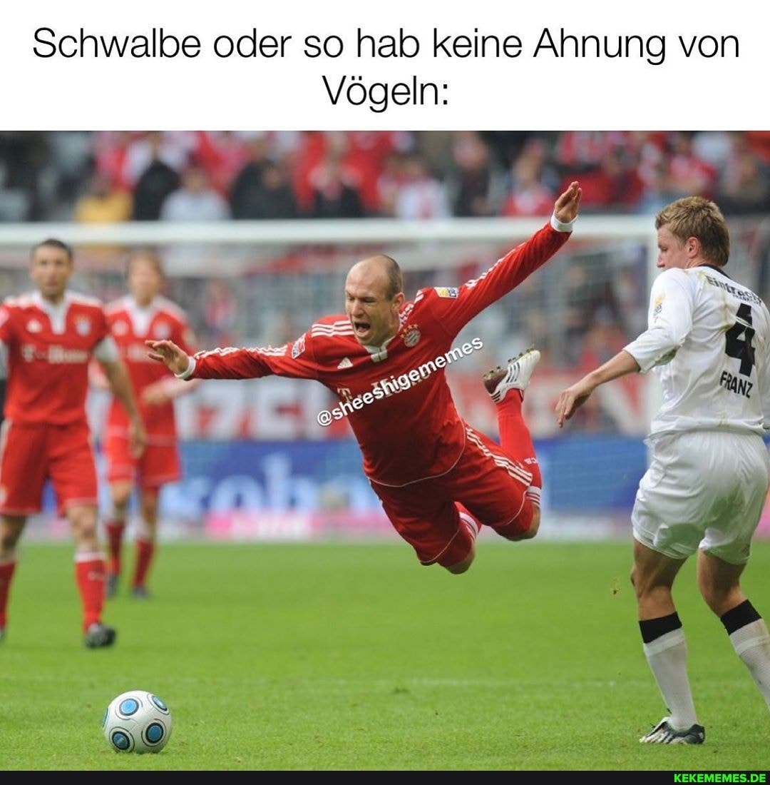 Schwalbe oder so hab keine Ahnung von
Vögeln: