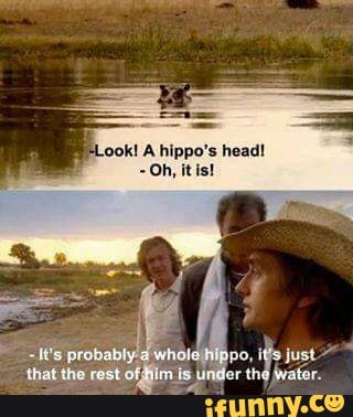 ook! A hippo's head!
Oh, itis!
the