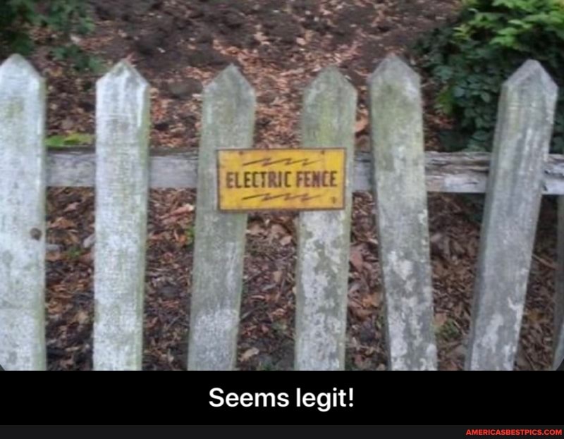 Seems legit! - Seems legit!