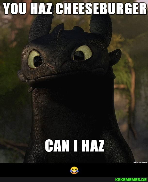 YOU HAZ CHEESEBURGER - 😂