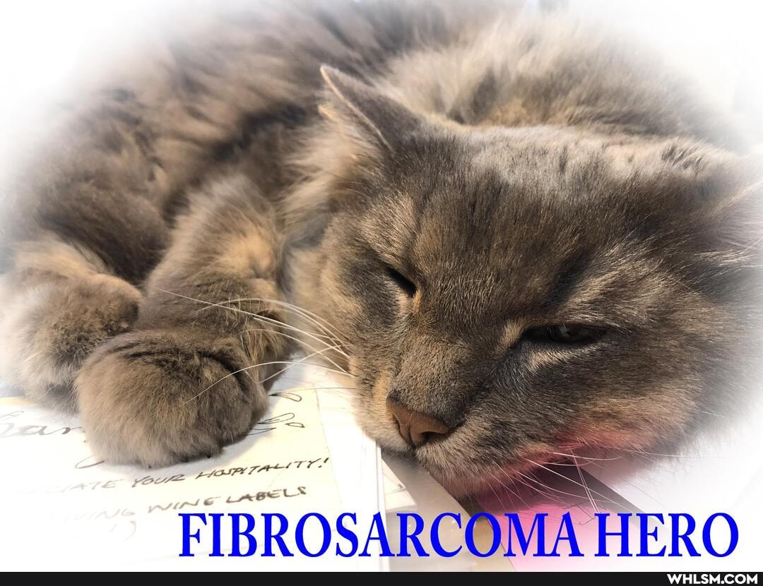 om
FIBROSARCOMA