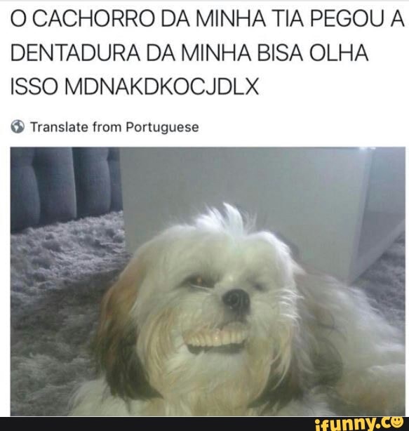 O CACHORRO DA MINHA TIA PEGOU A
DENTADURA DA MINHA BISA OLHA
ISSO MDNAKDKOCJDLX Translate from Portuguese