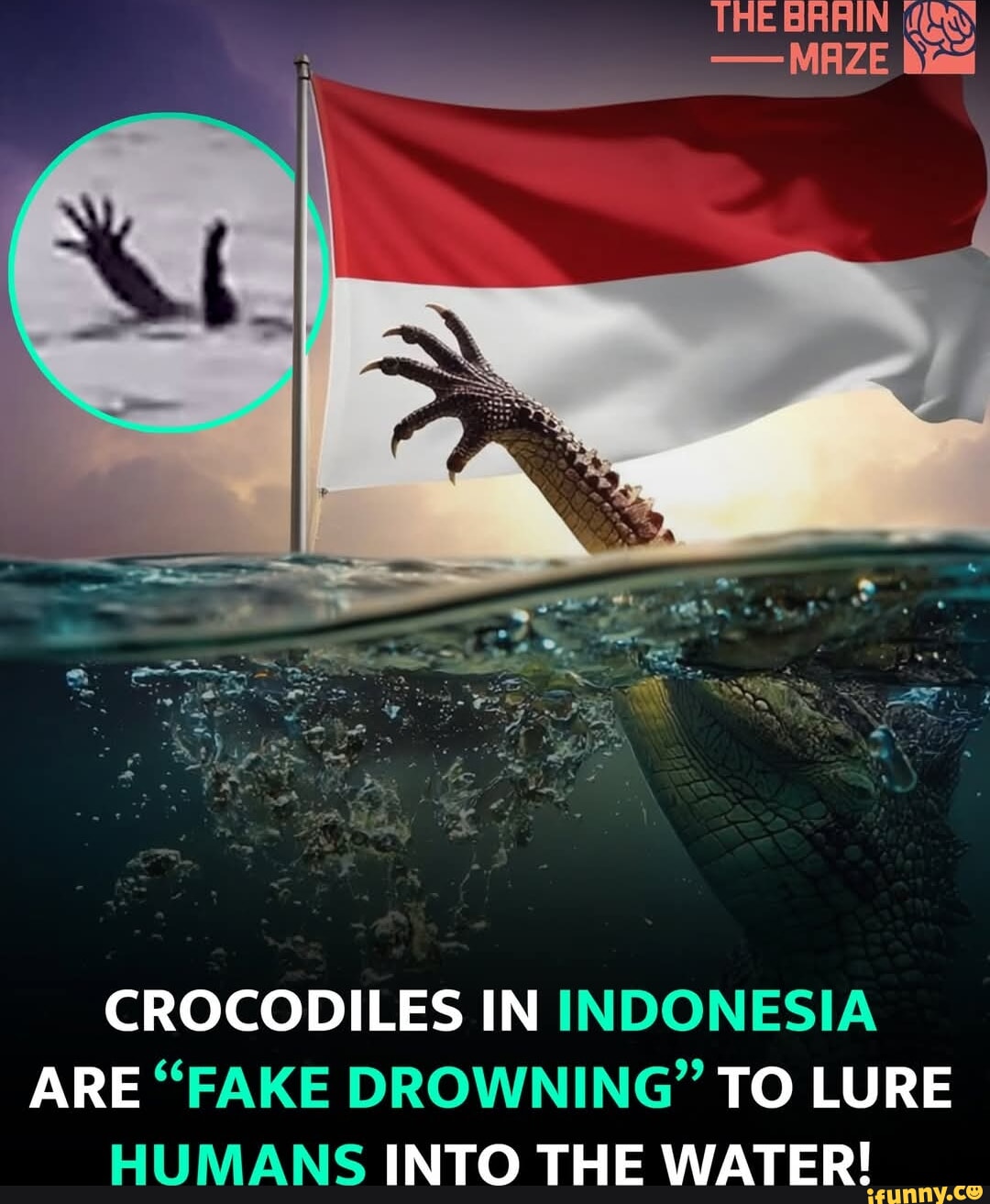 Crocodiles In Indonesia Are Fake Drowning To Lure Humans Into The