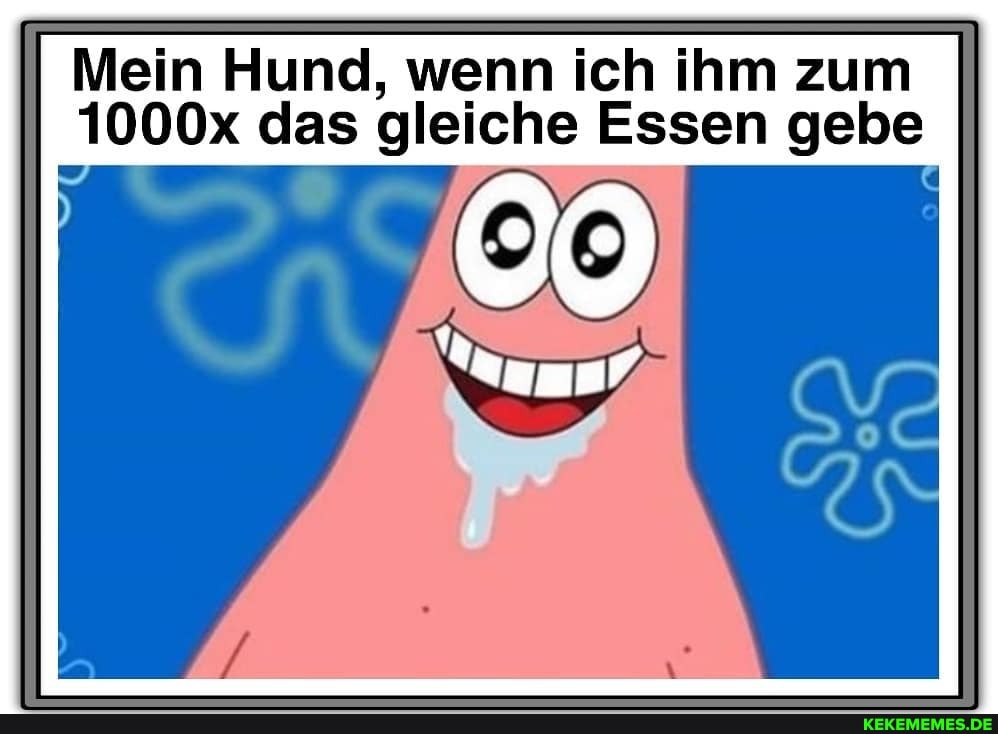 Mein Hund, wenn ich ihm zum
1000x das gleiche Essen gebe