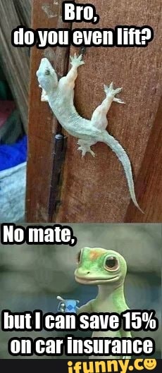 geko, insurance, doyoulift