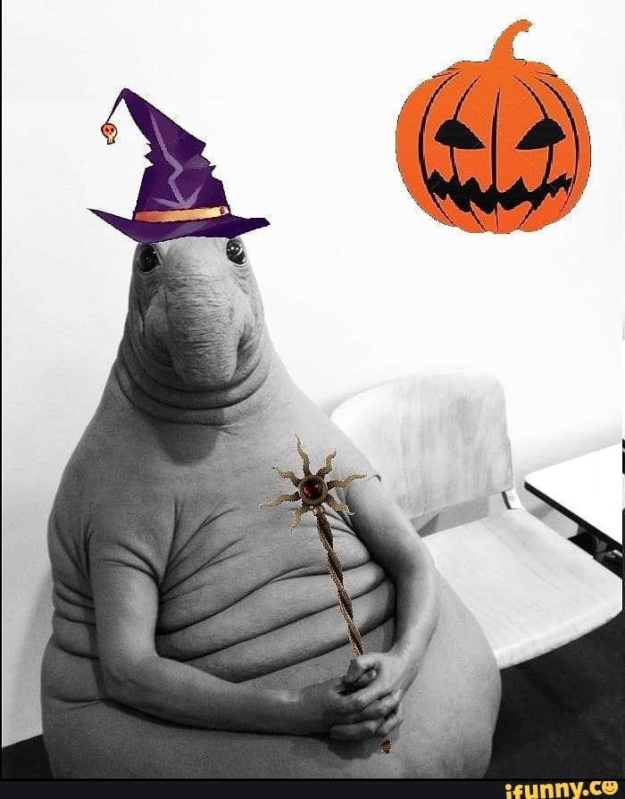 Snorp memes. Best Collection of funny Snorp pictures on iFunny