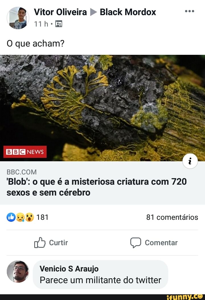 Vitor Oliveira Black Mordox
he
O que acham?
BBC COM
'Blob': o que é a misteriosa criatura com 720 sexos e sem cérebro
181 81 comentários
Curtir Comentar
2 Venicio "Parece S Araujo um militante do
Parece um militante do twitter