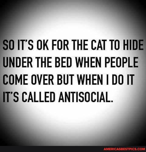 SO IT'S OK FOR THE CAT TO HI UNDER THE BED WHEN PEOPLE
COME OVER BUT WHEN I DO IT CALLED ANTISOCIAL.