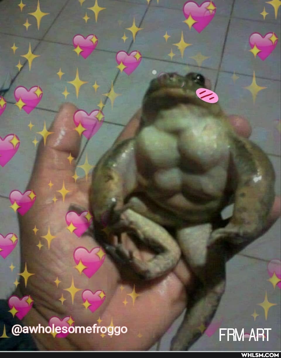 @awholesomefroggo FRM ART