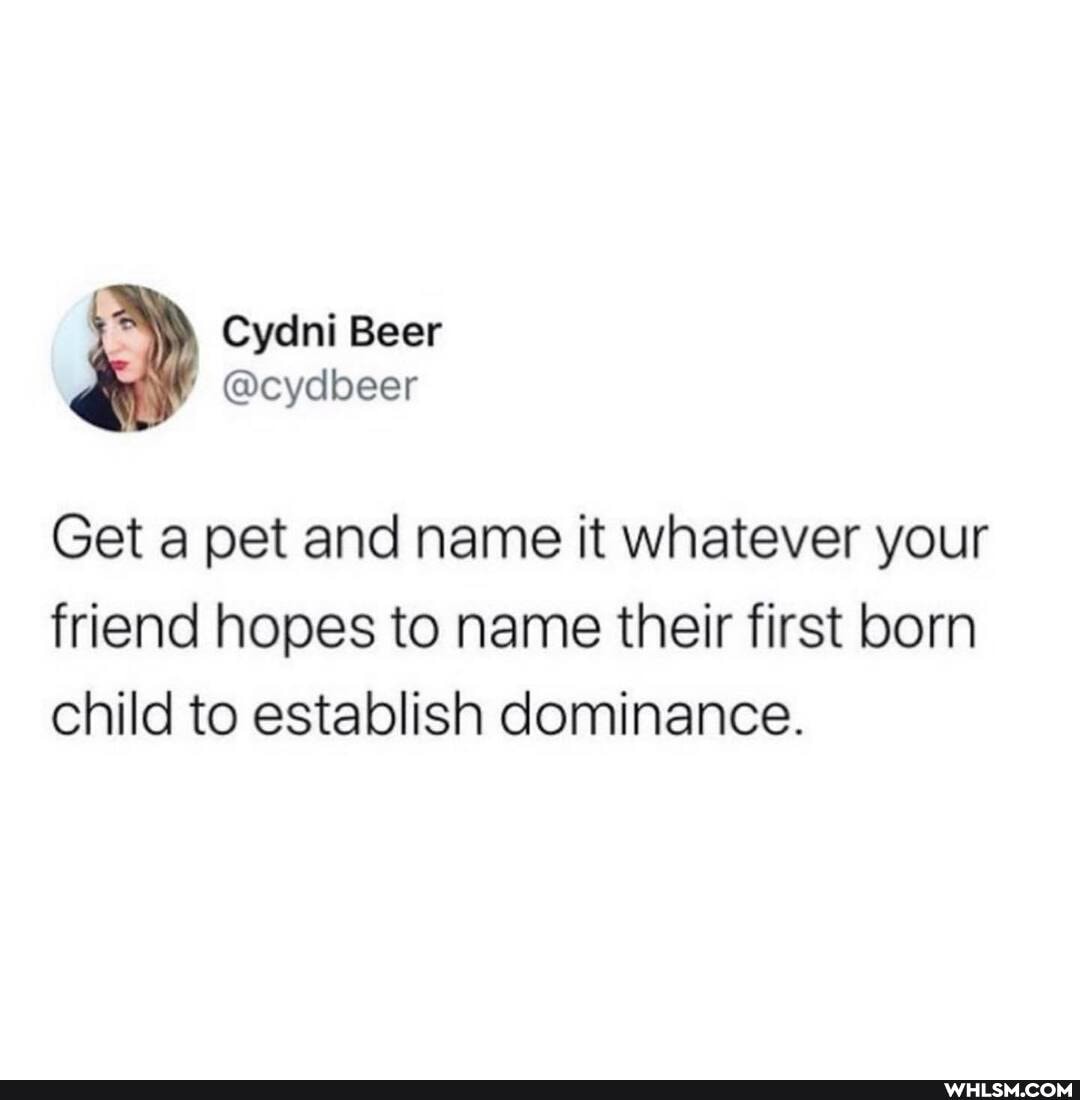 Beer
@cyclseer
Get a pet and name it whatever your friend hopes to name their first born child to establish dominance.
